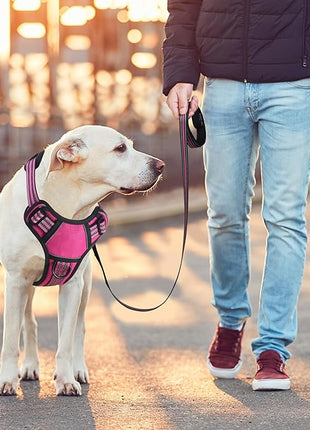 BUMBIN Dog Harness for Large Dogs, No Pull Adjustable No Choke Pet Vest with Dog Leash Fit Smart Reflective Pet Walking Harness for Training Easy Control Soft Handle Rose Red S