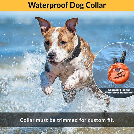 Educator E-Collar Humane Dog Training Collar with Remote, 100 Safe Tapping Stimulation Levels, Night Light, Waterproof, Rechargeable, 1 Mile 2 Large Dogs, Orange