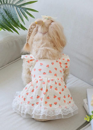 QWINEE Cute Flower Pattern Dog Dress Ruffle Trim Princess Dress Cat Vest Dress Lace Trim Summer Dress Pet Clothes for Small Medium Cats Dogs Kitten Puppy Pink S