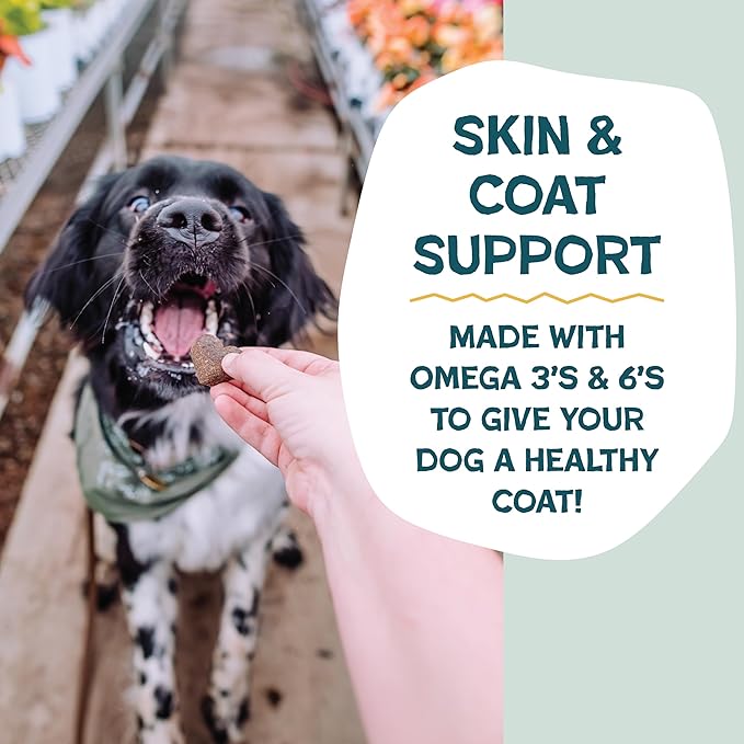 Shameless Pets Soft-Baked Dog Treats, Bananas for Bacon - Natural & Healthy Dog Chews for Skin & Coat Support with Omega 3 & 6 - Biscuits Baked & Made in USA, Free from Grain, Corn & Soy - 1-Pack