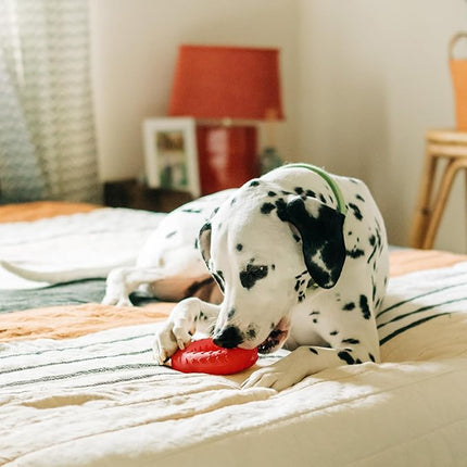 Playology Dog Toys | Dual Layer Ring Durable Chew Toy for Aggressive Chewers | Jumbo Beef Scented Toy - Easy to Clean and Made from Non Toxic Materials