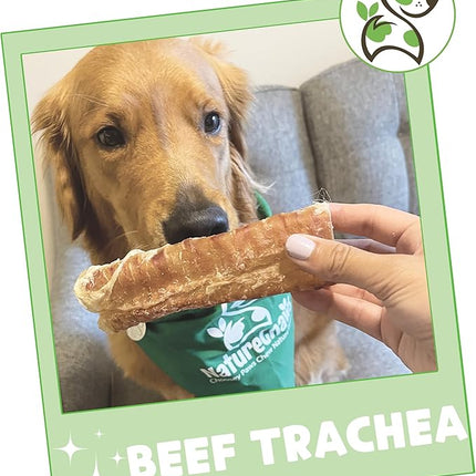 Nature Gnaws Beef Trachea Chews for Dogs 6" (6 Count) - Long Lasting Natural Crunchy Dog Chew Bones - Rawhide Free