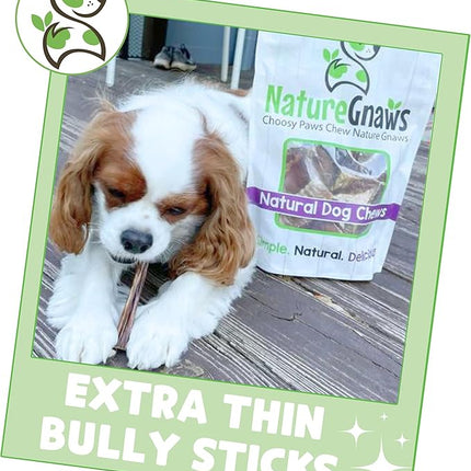 Nature Gnaws Extra Thin Bully Sticks for Small Dogs 5-6" (10 Count) - Long Lasting for Light Chewers and Puppies - Natural Beef Dog Chew Bones
