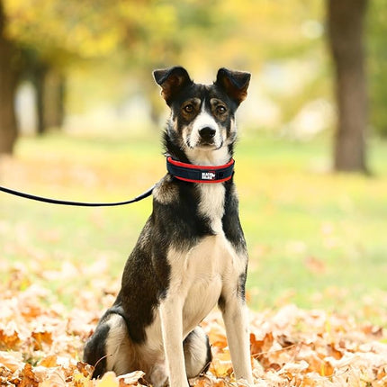 Black Rhino - The Comfort Collar Ultra Soft Neoprene Padded Dog Collar for All Breeds - Heavy Duty Adjustable Reflective Weatherproof (Small, Red/Black)