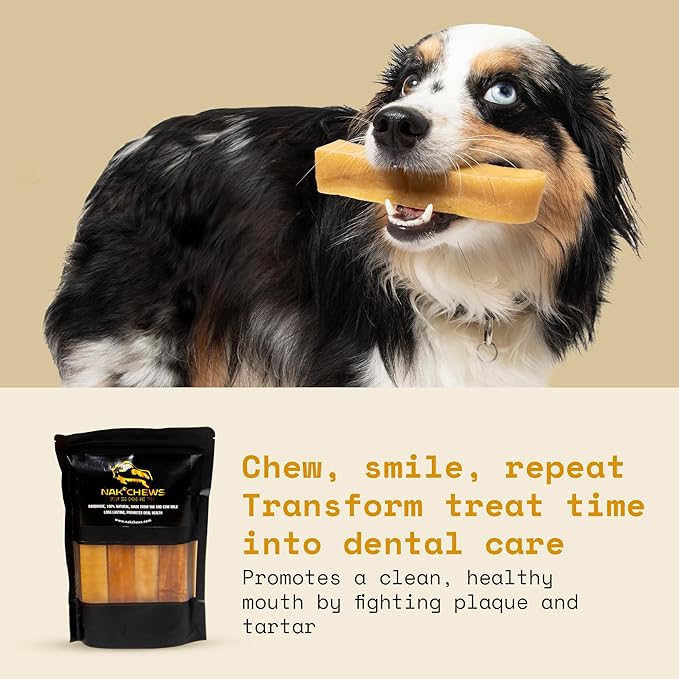 Himalayan Yak Cheese Dog Chews - Natural Healthy & Safe Treat for Small & Medium Dogs - Long Lasting Dental Chew Rich in Protein & Calcium - Gluten-Free Lactose-Free - 6 Chews for Medium Dogs
