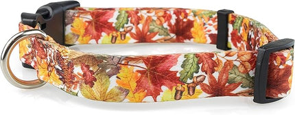 Limeloot Fall Dog Collar, Adjustable Thanksgiving Dog Collar in Small, Medium, and Large, Holiday Collar for Female and Male Dogs, Fall Leaves, Small