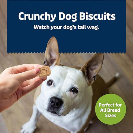 Blue Buffalo Health Bars Mini Crunchy Dog Biscuits, Oven-Baked with Natural Ingredients, Apples & Yogurt, 32-oz Bag (Pack of 2)