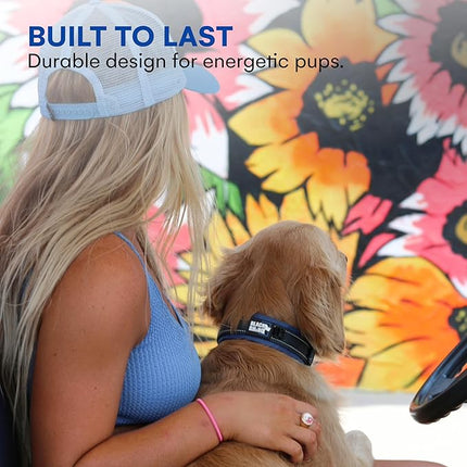 Black Rhino Dog Collars for Medium Dogs - Adjustable Reflective Heavy Duty Dog Collar with Ultra-Soft Neoprene Padding - Weatherproof, Durable, and Comfortable for Active Dogs - Sport Blue and Black