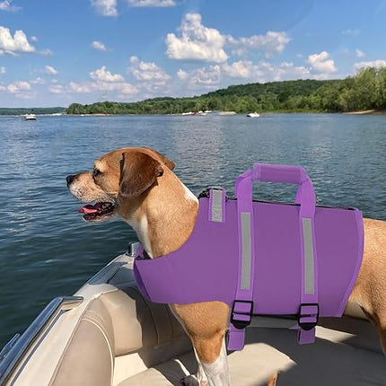 Queenmore Dog Life Jacket, Dog Life Vest for Swimming, Life Jackets for Small Dogs, Small Doggie Life Vest for Swimming, Cat Lifevest with Rescue Handle, Zipper (Purple, S)