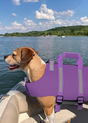Queenmore XS Dog Life Jacket, Dog Life Vest for Swimming, Life Jackets for Small Dogs, Small Doggie Life Vest for Swimming, Adjustable Pet Life Vest for Boating, Cat Lifevest (Purple, XS)