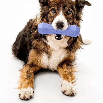 Playology Dog Toys | Durable Squeaky Chew Stick for Dogs | Jumbo Blueberry Scented Toy - Easy to Clean and Made from Non Toxic Materials