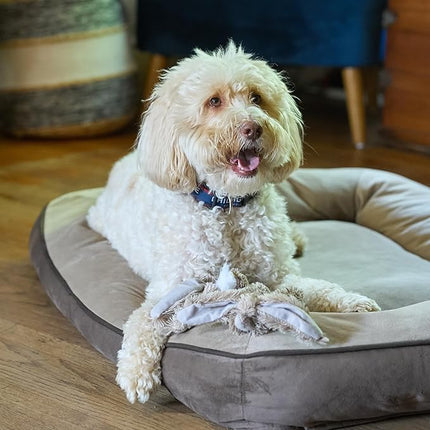 SPOT Skinneeez Rabbit 22 Inch Stuffing-Free Plush Dog Toy with Dual Squeakers – Long Interactive Chew Toy for Medium and Large Dogs – Mess-Free Play for Light & Moderate Chewers