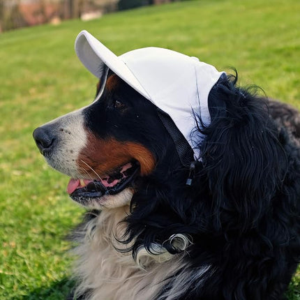 Littlearth NFL Pet Baseball Hat - Officially Licensed Teams, Sizes: XS - XL