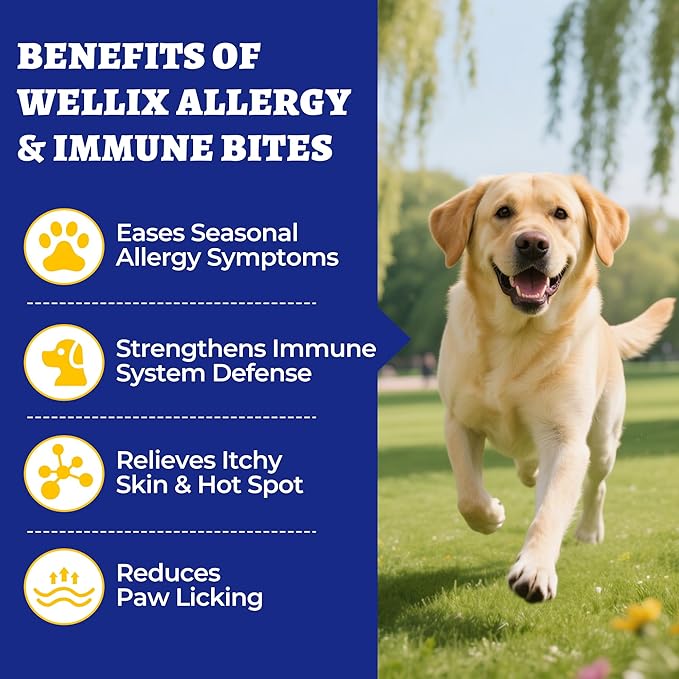 260 Bites Wellix Dog Allergy Chews & Immune Support, Anti Itch Dog Chews – Effective Ingredients Turmeric for Dogs & Fish Oil – for Puppy, Small Medium & Large Dogs