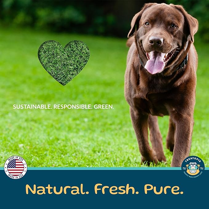 Beef Lung Nuggies Dog Treats, 2 LB Bag - All-Natural, Sustainable, Healthy, High Protein, Hand-Trimmed, Slow-Roasted, Made in The USA, Nutritious, No Additives, No Fillers