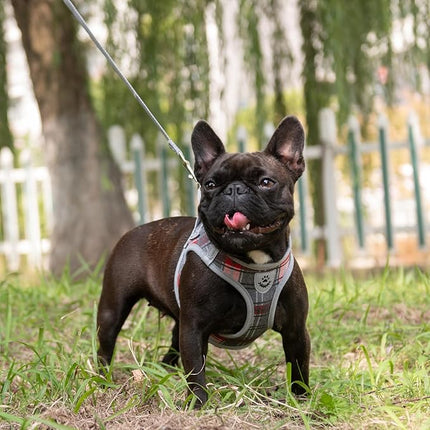 EXPAWLORER Classic Plaid Puppy Harness - Dog Collar and Leash - Soft Mesh Padded Adjustable Step in Small Dog Vest Harness No Pull, Reflective Escape Proof for Outdoor Walking, Grey Small