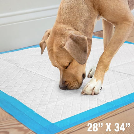Four Paws Wee-Wee Superior Performance Unscented Extra-Large Pee Pads for Dogs & Puppies, Quilted Leak-Proof Dog Housebreaking Potty Training Floor Protection, 28" x 34", 21 Count