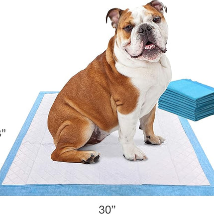 Four Paws Wee-Wee Odor Control with Febreze Freshness Pee Pads for Dogs & Puppies, Leak-Proof Dog Housebreaking Potty Training Floor Protection, Spring Fresh Scent, 22" x 23", 10 Count