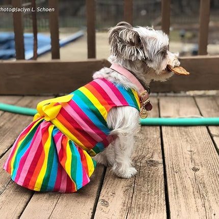 Fitwarm Rainbow Striped Dog Dress, Summer Dog Clothes for Small Dogs Girl, Pet Cat Outfit, 100% Breathable Cotton, Red Yellow Blue, Medium