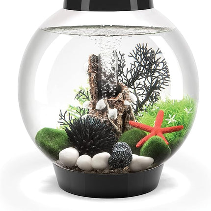 biOrb Classic 15 Acrylic 4-Gallon Aquarium with White LED Lights Modern Compact Tank for Tabletop or Desktop Display, Black-Trimmed Tank