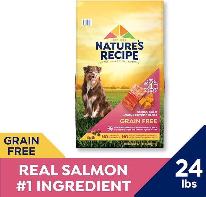 Nature’s Recipe Grain Free Dry Dog Food Salmon, Sweet Potato & Pumpkin Recipe, 24 lb. Bag