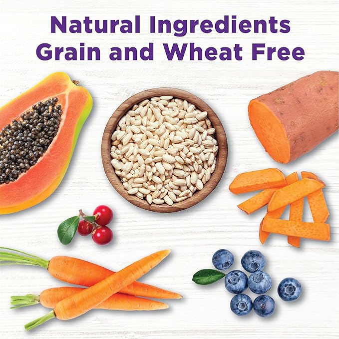 Wellness Bowl Boosters, Dog Food Topper for Small, Medium, & Large Breeds, Grain Free, Natural, Freeze Dried, Immune Health, Plant Based, 4 Ounce Bag (Pack of 1)