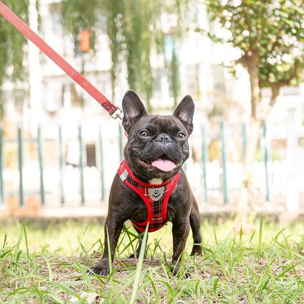 EXPAWLORER Classic Plaid Puppy Harness - Small Dog Harness and Leash Set - Dog Collar and Leash Set with AirTag Holder, Soft Padded Step in Dog Vest Harness No Pull Reflective for Outdoor, Red M