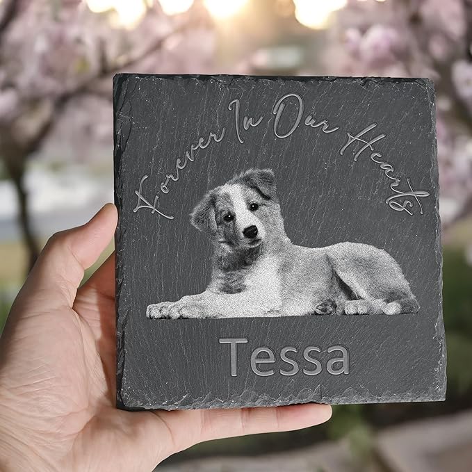 Pet Memorial Stone, Dog Memorial Stone, Dog Memorial Gifts for Loss of Dog, Pet Memorial Gifts, Loss of Pet Sympathy Gift, in Loving Memory Pet - Beloved Forever in Our Hearts - Square