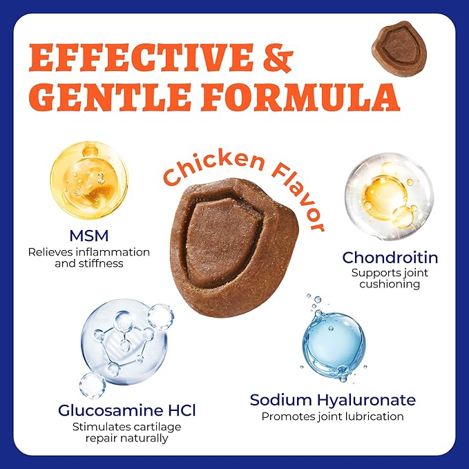 260 Bites Wellix Dog Hip and Joint Supplement Arthritis Pain Relief with Glucosamine Chondroitin MSM Functional Ingredients Joint Care Chews for Senior Dogs Antioxidant Supplements