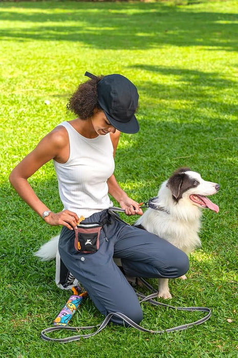 OllyDog Goodie Treat Bag, Dog Treat Pouch, Waist Belt Clip for Hands-Free Training, Magnetic Closure, Dog Training and Behavior Aids, Three Ways to Wear (Desert)