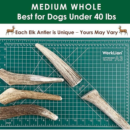 Elk Antler Dog Chews | Long-Lasting A-Grade Premium Elk Antler Chews for Dogs from Naturally Shed Elk Antlers Collected in The USA, Whole, Medium (Pack of 6)
