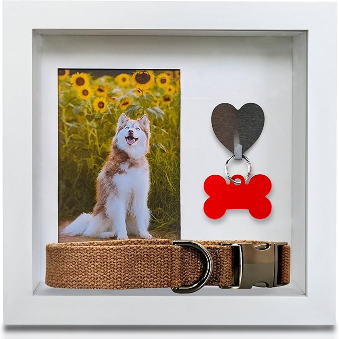Green Pollywog Pet Memorial Shadowbox with Photo, Tag & Collar Display | White Frame with 4” x 6” Picture Opening | 10” x 10” x 2.5” Keepsake Box