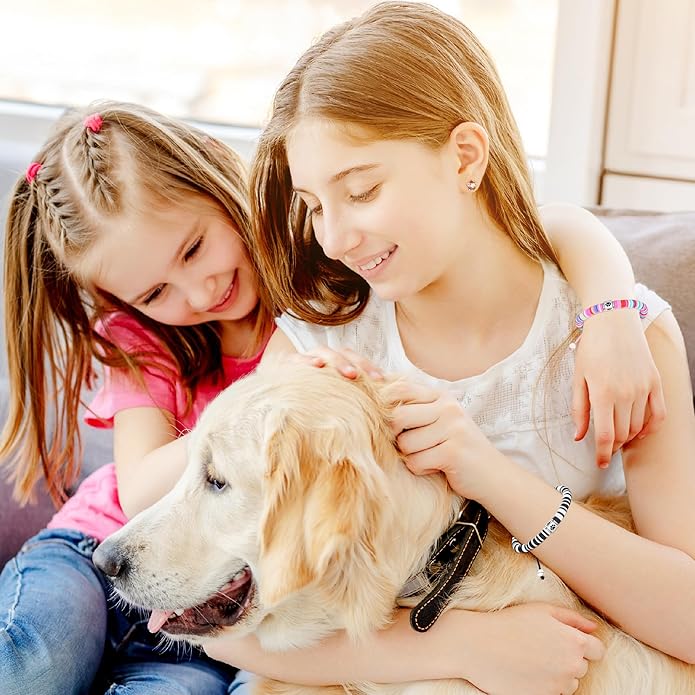 TONY & SANDY Dog Memorial Gifts, Pet Sympathy Rainbow Bridge Pet Memorial Bracelet for Men Women Girls Who Loss of Beloved Dog Cat
