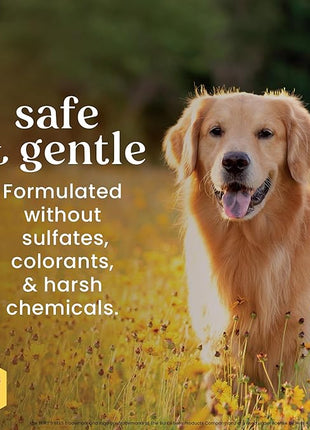 Burt's Bees for Pets Deodorizing Dog Wipes with Witch Hazel, Lemongrass and Sage Fragrance, 98% Natural Origin Formulas, Dog Wipes Cleaning and Deodorizing, 100ct