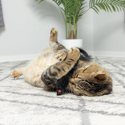 SPOT Shaggy Plush Ferret - Interactive Rattle and Catnip Fuzzy Toy for Indoor Cats and Kittens, Large Size Perfect for Pouncing, Chasing, Hunting, 11 Inches (Pack of 2)