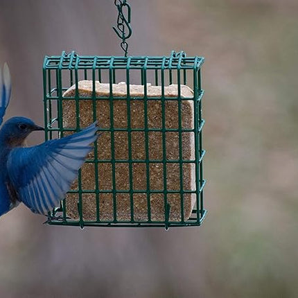 C&S High Energy Delight No Melt Suet Dough 11 Ounces,(Pack of 12)