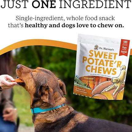Dr. Harvey's Sweet Potate'r Chews - Natural Sweet Potato Treat for Dogs (16 ounces)