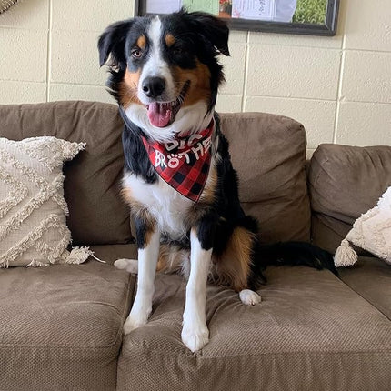 Big Brother Dog Bandana,Buffalo Plaid Pet Pregnancy Announcement Scarf