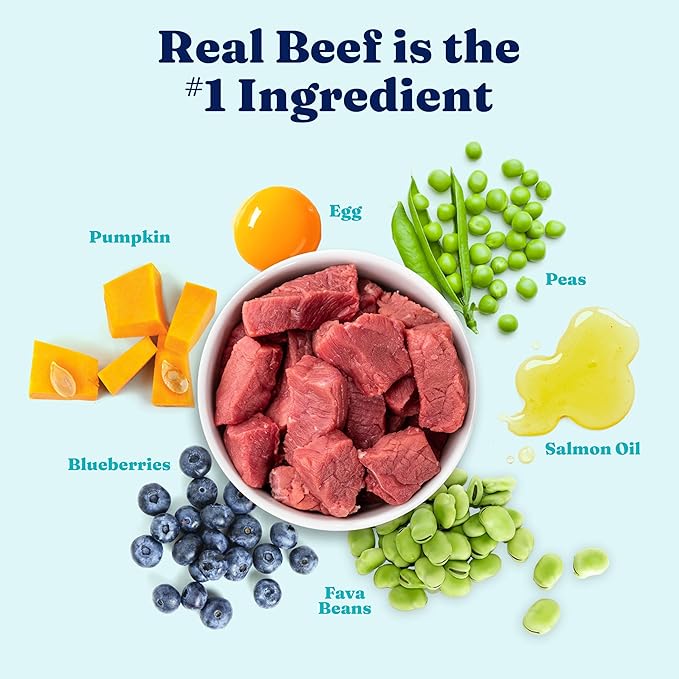 Solid Gold High Protein Dog Food Dry Dog Kibble - Premium Beef Protein & Digestive Probiotics for Energy, Muscle, Gut & Immune Support - Healthy Grain & Gluten Free Dogfood - Nutrientboost - 22 LB