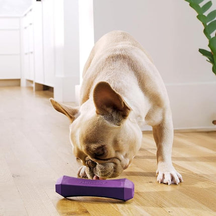 Playology Dog Toys | Durable Squeaky Chew Stick for Dogs | Medium Bacon Scented Toy - Easy to Clean and Made from Non Toxic Materials