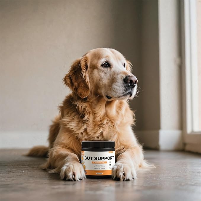 Pumpkin Gut Support for Dogs – Digestive Health Supplement with Natural Fiber & Probiotics, 30 Servings | Kubi Pets (30)