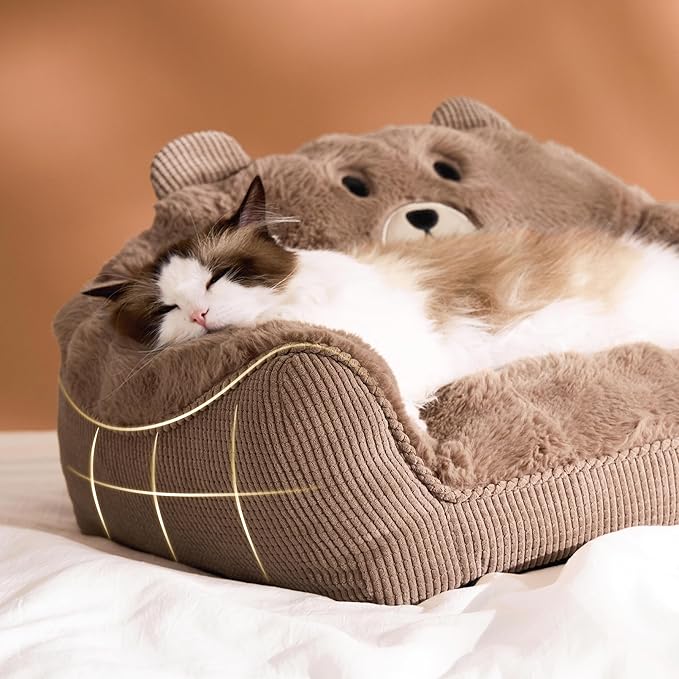 LE SURE Cute Cat Couch for Pets - Fluffy Original Bear Design Cat Beds for Indoor Cats, Fuzzy Cats Sofa with Removable Washable Cover, Supportive Pet Chair, 24inch, Brown