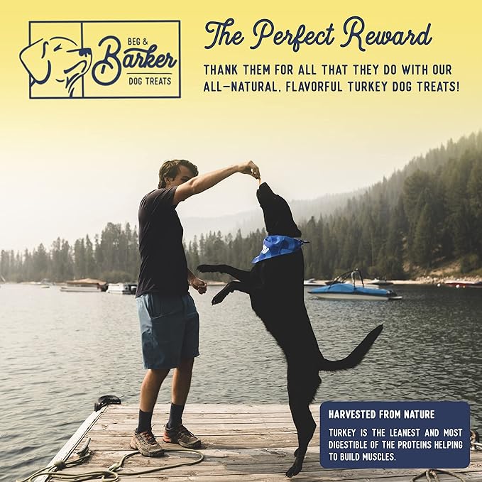 Beg & Barker Turkey Jerky for Dogs (4 Ounce, Pack of 1) - Dog Training Treats - Natural Dog Treats Made in The USA - Grain Free, Diabetic-Friendly, High Protein, Sugar-Free