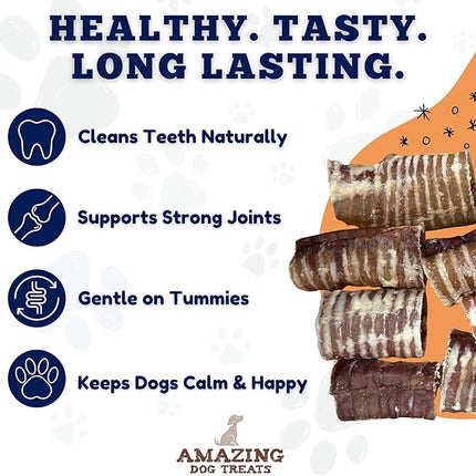Amazing Dog Treats - 6 Inch Beef Trachea Dog Chews (50 pcs) - Trachea Dog Treats - NO Hide - Digestible and Safe Chews for Dogs - Glucosamine and Chondroitin for Joint Health for Dogs