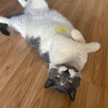 SPOT Colorful Cat Spring Toys – 2" Bouncy Coils for Indoor Cats & Kittens to Swat, Chase, Bite – Interactive Enrichment Toys, Safe Plastic, 10-Pack, Multi-Color