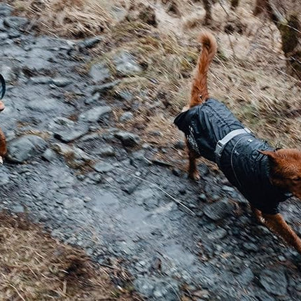 Hurtta Monsoon Coat, Dog Raincoat, BlackBerry, 18 in