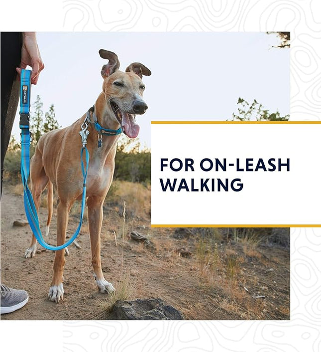 Ruffwear, Web Reaction Dog Collar, Escape-Proof Security Buckle, Adjustable Anti-Slip Martingale Collar with Durable Nylon Tubelok Webbing & Silent ID Attachment, Seafoam, 23"-26"