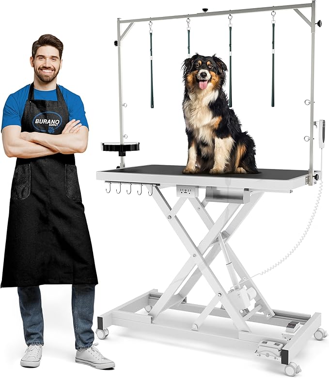 Burano Professional Super Low-Step Electric Dog Grooming Table 49.2", Heavy Duty, Anti-Slip Tabletop, Height Adjustable Dog Table with Lockable Casters, Stainless Grooming Overhead Arm