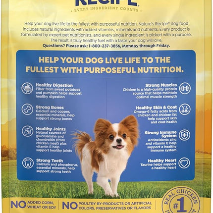 Nature's Recipe Grain Free Small Breed Dry Dog Food, Chicken, Sweet Potato & Pumpkin Recipe, 4 lb. Bag
