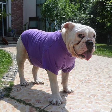 Lovelonglong Bulldog Clothes Dog Clothing Blank T-Shirt Tee Shirts for French Bulldog English Bulldog American Pit Bull Pugs 100% Cotton Skin Care Purple B-L